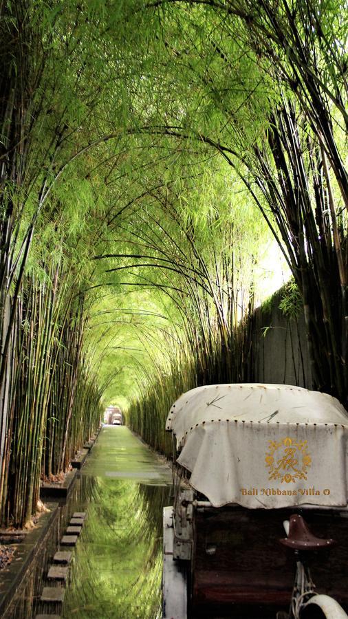 The Nibbana Villas เซมินยัค ภายนอก รูปภาพ